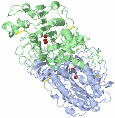 Image Asym./Biol. Unit