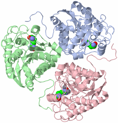 Image Asym./Biol. Unit