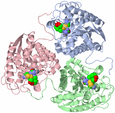 Image Asym./Biol. Unit