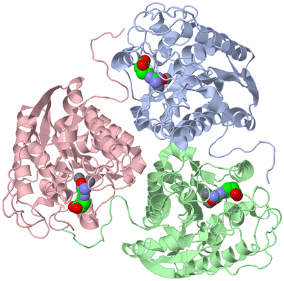 Image Asym./Biol. Unit