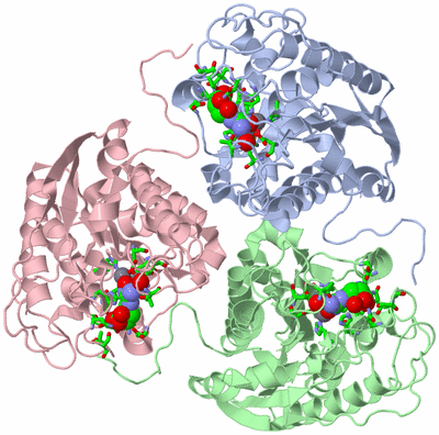 Image Asym./Biol. Unit - sites