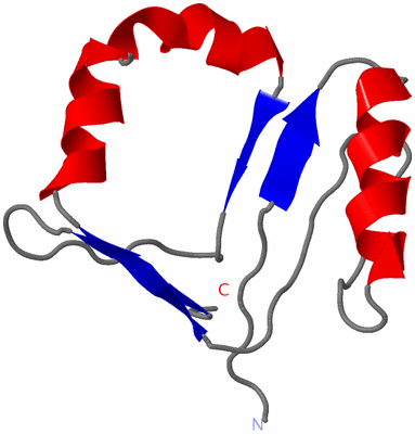 Image NMR Structure - model 1