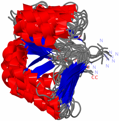 Image NMR Structure - all models