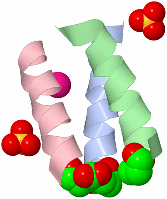 Image Biological Unit 1