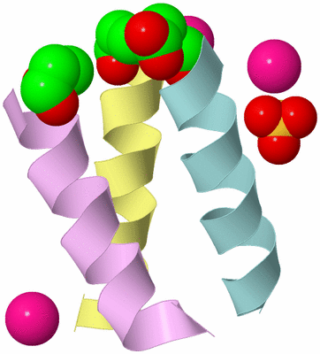 Image Biological Unit 2