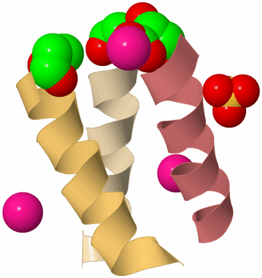 Image Biological Unit 3