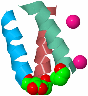 Image Biological Unit 4