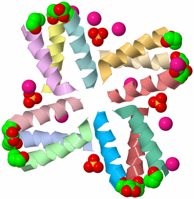 Image Biological Unit 5