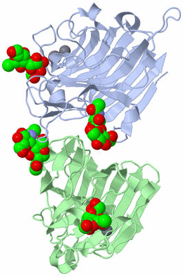 Image Asymmetric Unit
