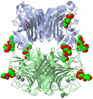 Image Biological Unit 1