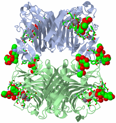 Image Biol. Unit 1 - sites
