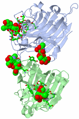 Image Asym. Unit - sites