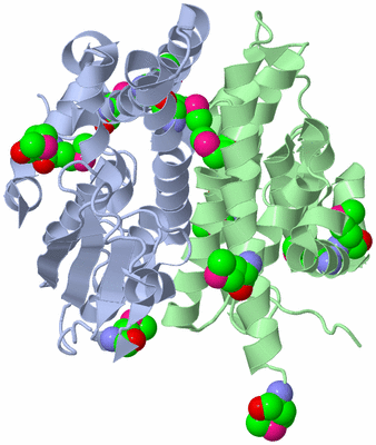 Image Asym./Biol. Unit