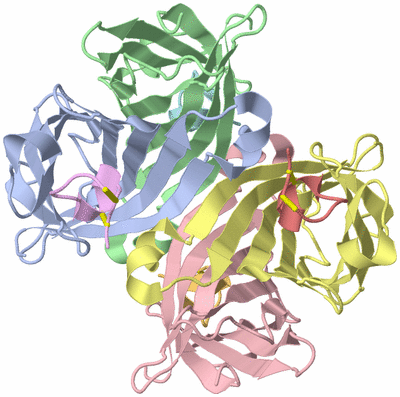 Image Asym./Biol. Unit