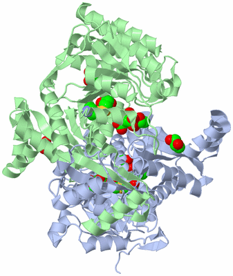 Image Asym./Biol. Unit