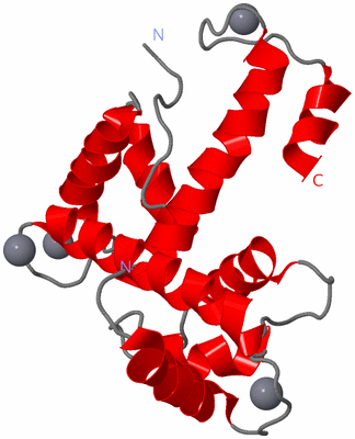 Image Asymmetric Unit