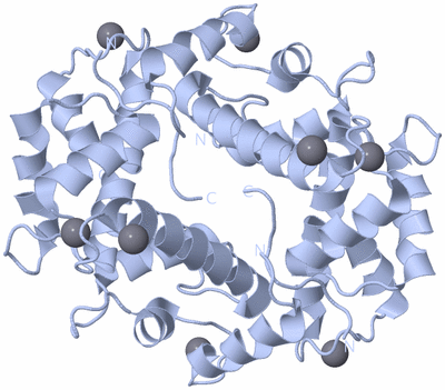 Image Biological Unit 1