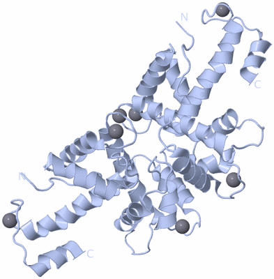 Image Biological Unit 3