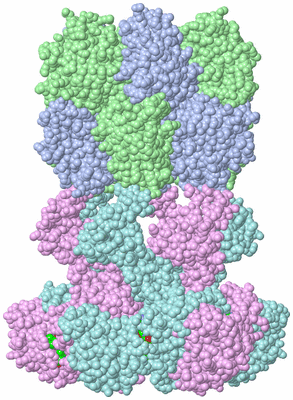 Image Biol. Unit 1 - sites