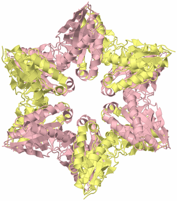 Image Biological Unit 2