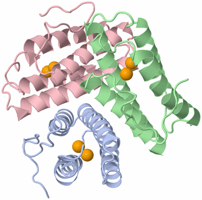 Image Asym./Biol. Unit