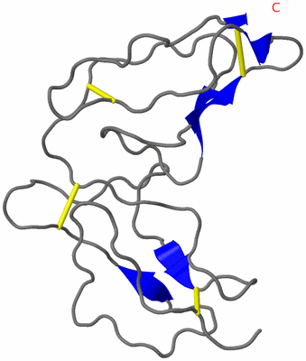 Image Theoretical Model