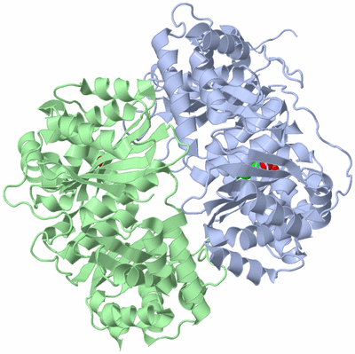 Image Biological Unit 1