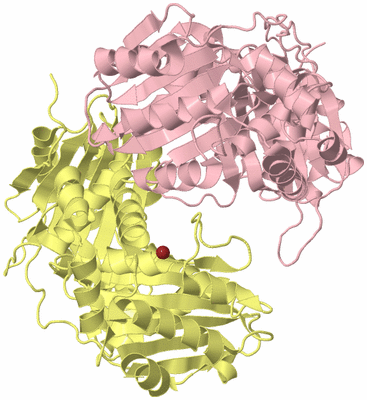 Image Biological Unit 2