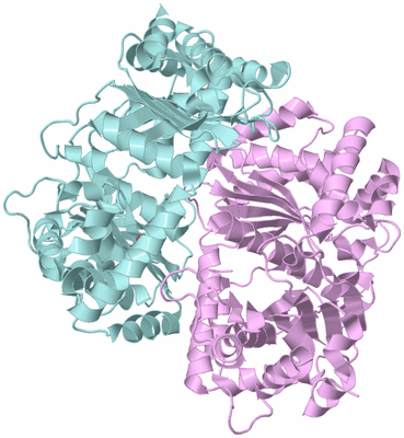 Image Biological Unit 3