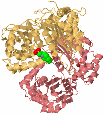 Image Biological Unit 4