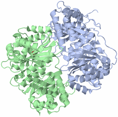 Image Biological Unit 1