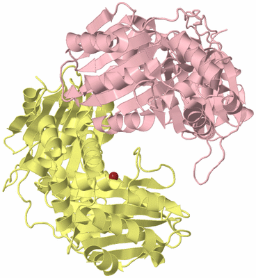 Image Biological Unit 2