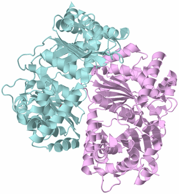 Image Biological Unit 3