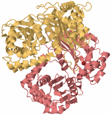 Image Biological Unit 4