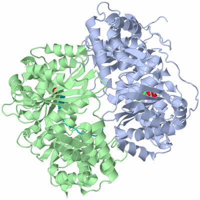 Image Biological Unit 1