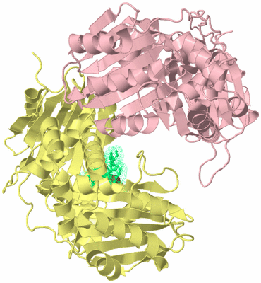 Image Biological Unit 2