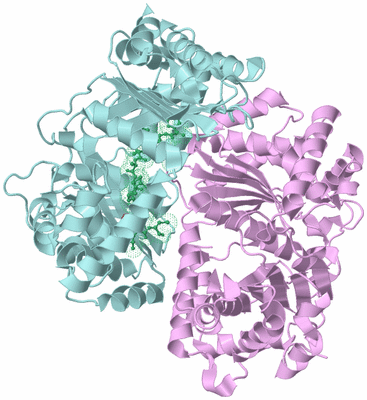 Image Biological Unit 3