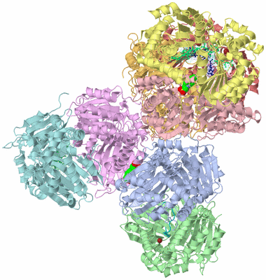 Image Biological Unit 5