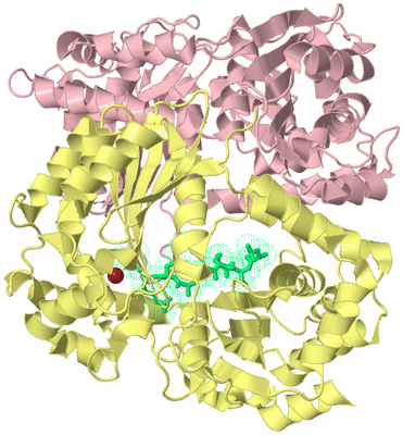 Image Biological Unit 2