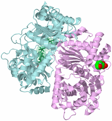 Image Biological Unit 3