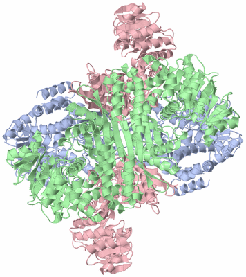 Image Biological Unit 1