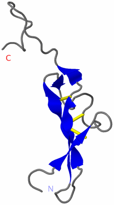 Image NMR Structure - model 1