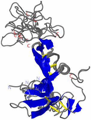 Image NMR Structure - all models