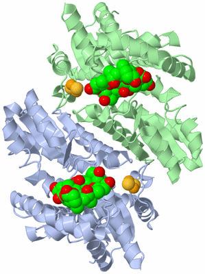 Image Asym./Biol. Unit