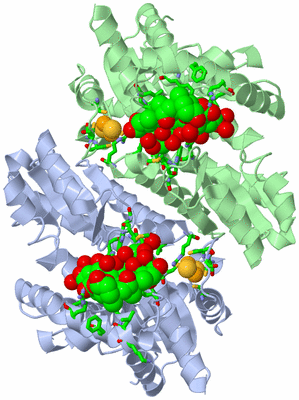 Image Asym./Biol. Unit - sites