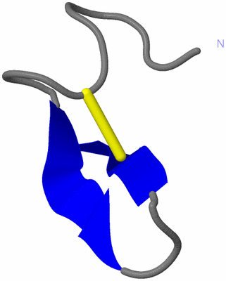 Image NMR Structure - model 1