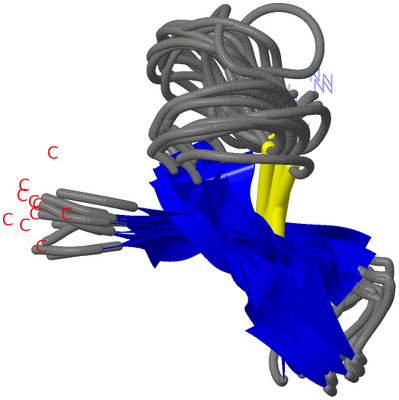 Image NMR Structure - all models