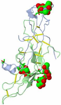 Image Biol. Unit 1 - sites