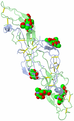 Image Biological Unit 2