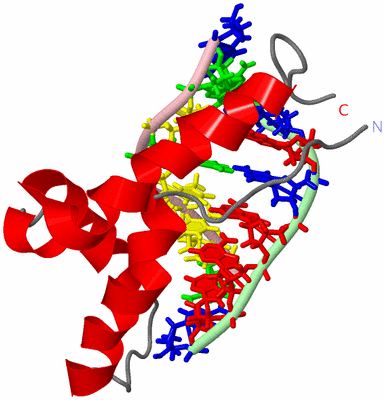 Image NMR Structure - model 1